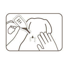 beaphar Zecken- und Flohschutz SPOT-ON 3 x 1 ml